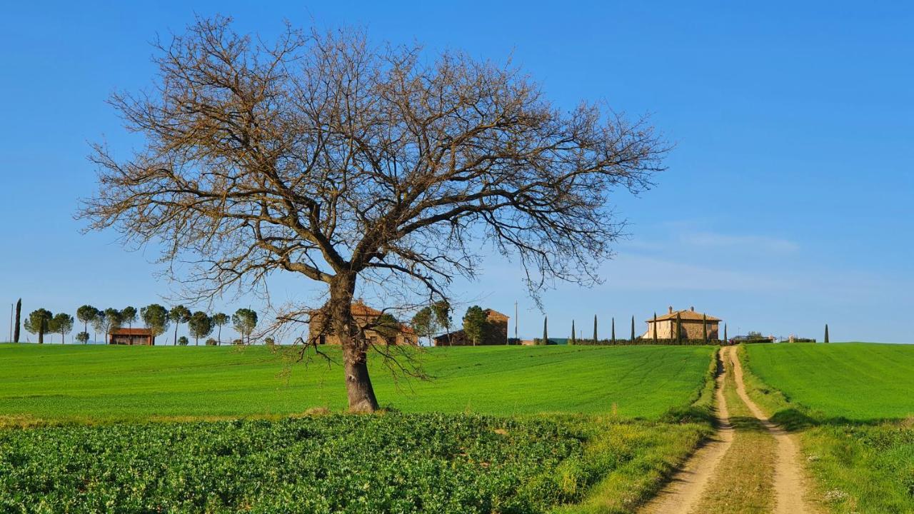 Vacanze Sant Andrea 파치아노 외부 사진